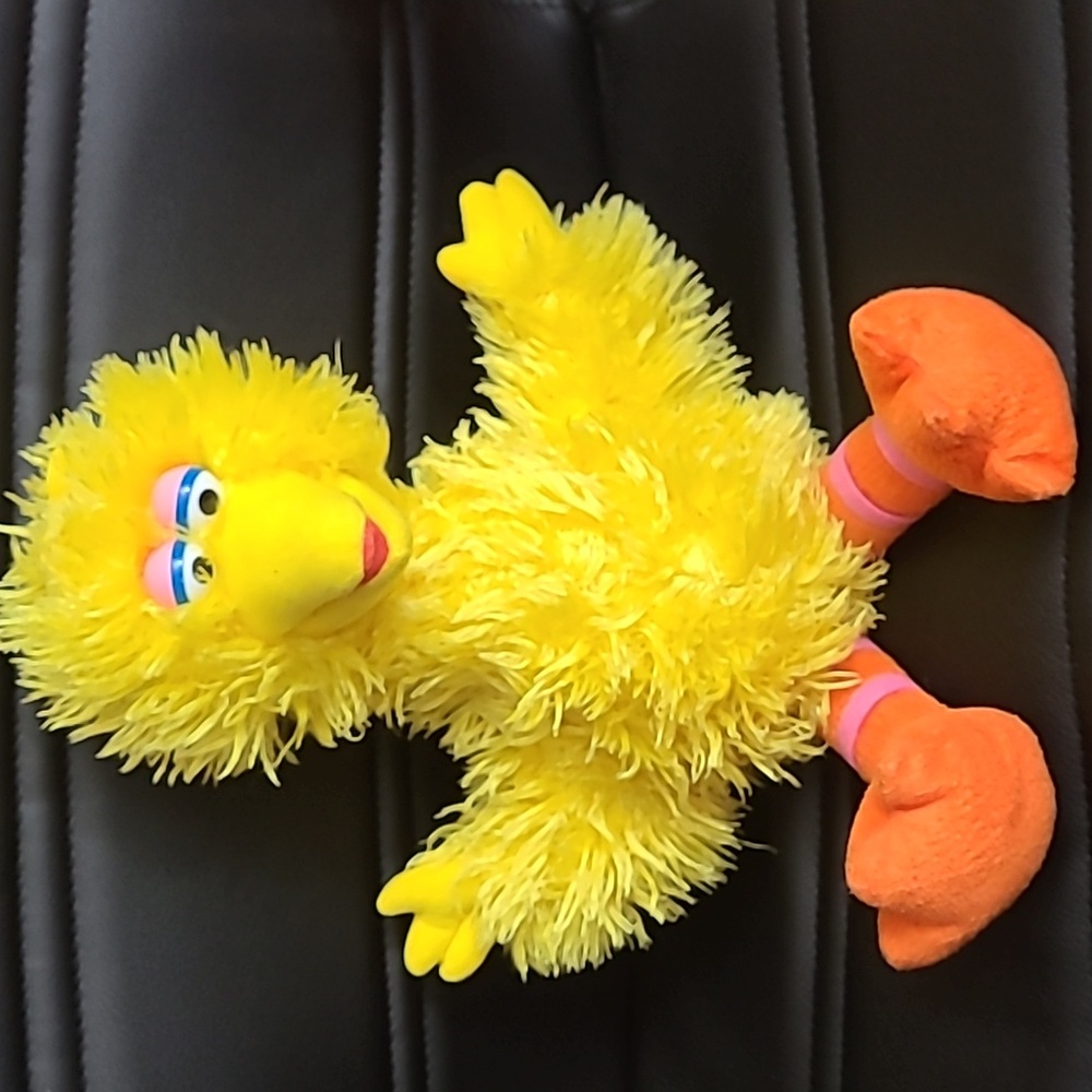 Big bird doll from Sesame Place